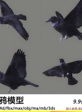 3D乌鸦鸟类带绑定动画黑色小鸟C4D模型工程源文件设计素材