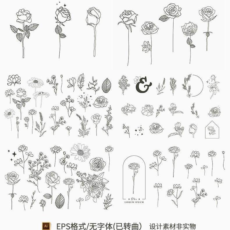 黑白手绘玫瑰花卉线描花卉植物花朵线稿婚礼装饰画AI矢量素材素材图片