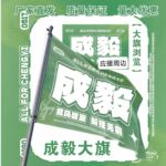 成毅大旗明星演唱会成毅应援大旗户外傅诗淇应援旗音乐节旗帜定制