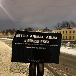 请停止虐待动物旗帜音乐节摇滚大旗反虐待动物旗帜保护动物旗帜