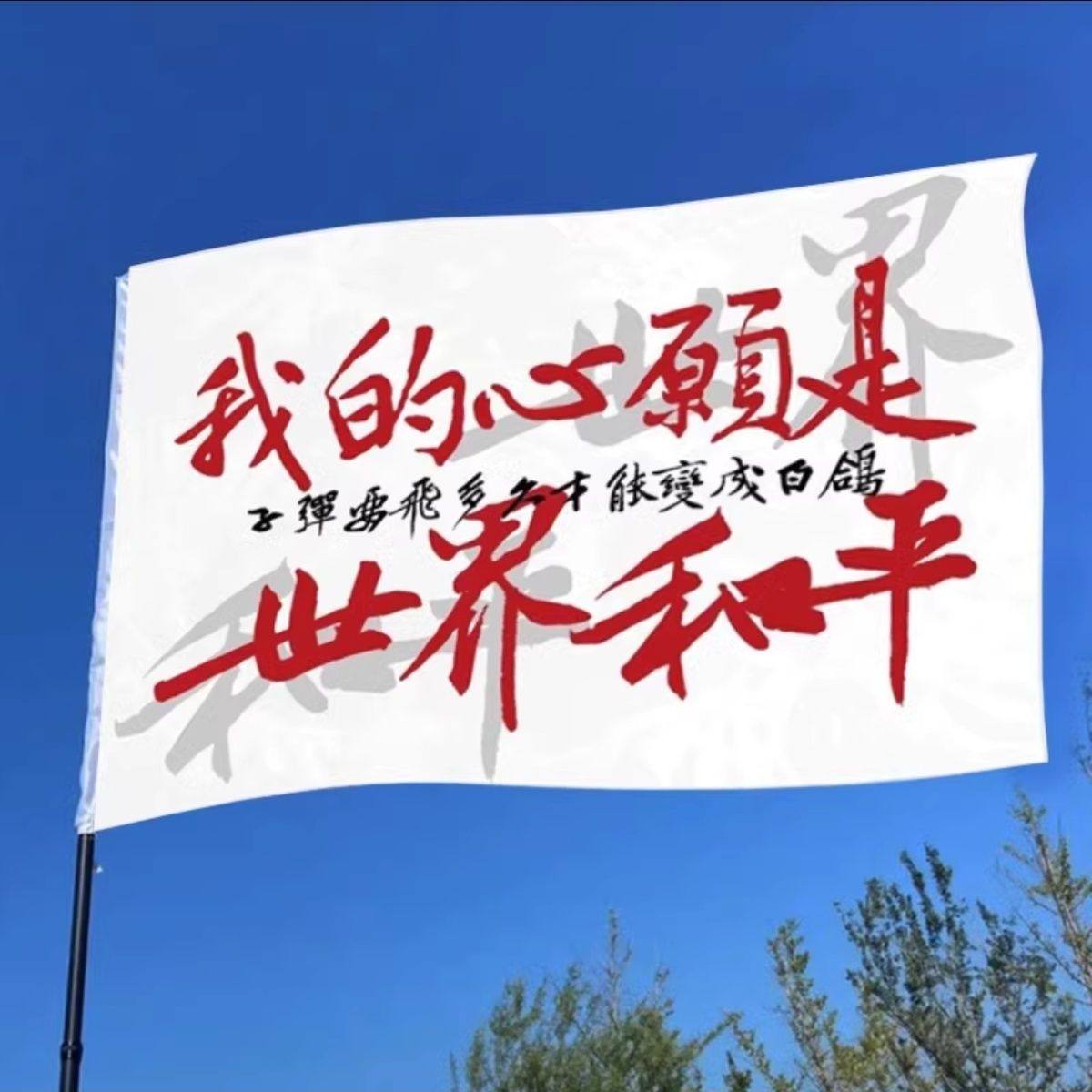 世界和平旗帜定制巴勒斯坦国旗登山旅游音乐节旗子定做和平鸽户外