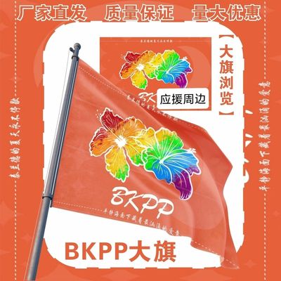BKPP应援大旗明星BKPP组合马群耀林祎凯应援大旗音乐节应援旗定制