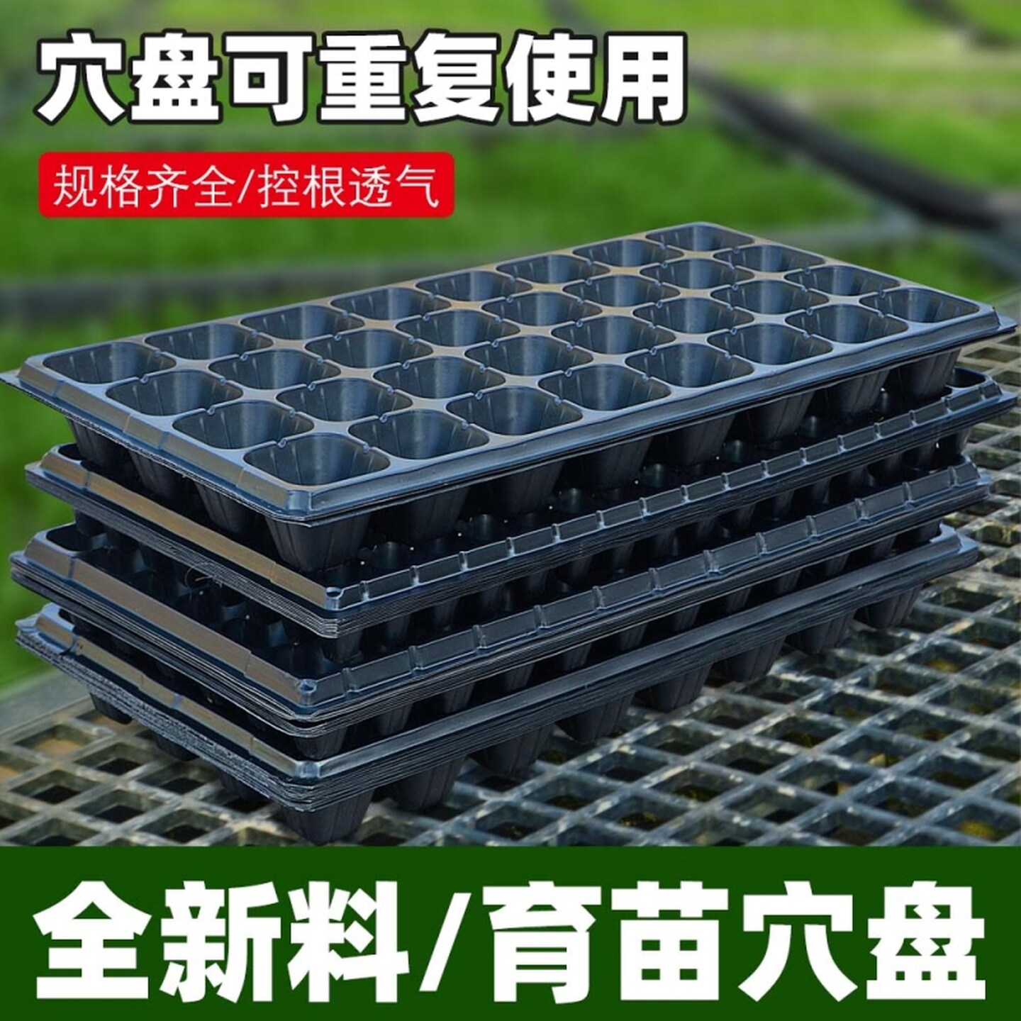 育苗盘穴盘大号种植插秧盘育苗器蔬菜辣椒育苗盆扦插盒苗木多肉箱
