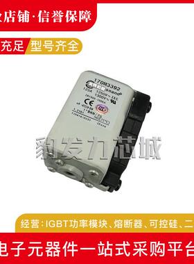 170M3365 170M3366 170M3367 170M3368 170M3369/3370/3371熔断器