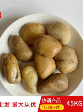 【广州厂家】直销普抛打蜡黄色鹅卵石 一级雨花石园林造景用