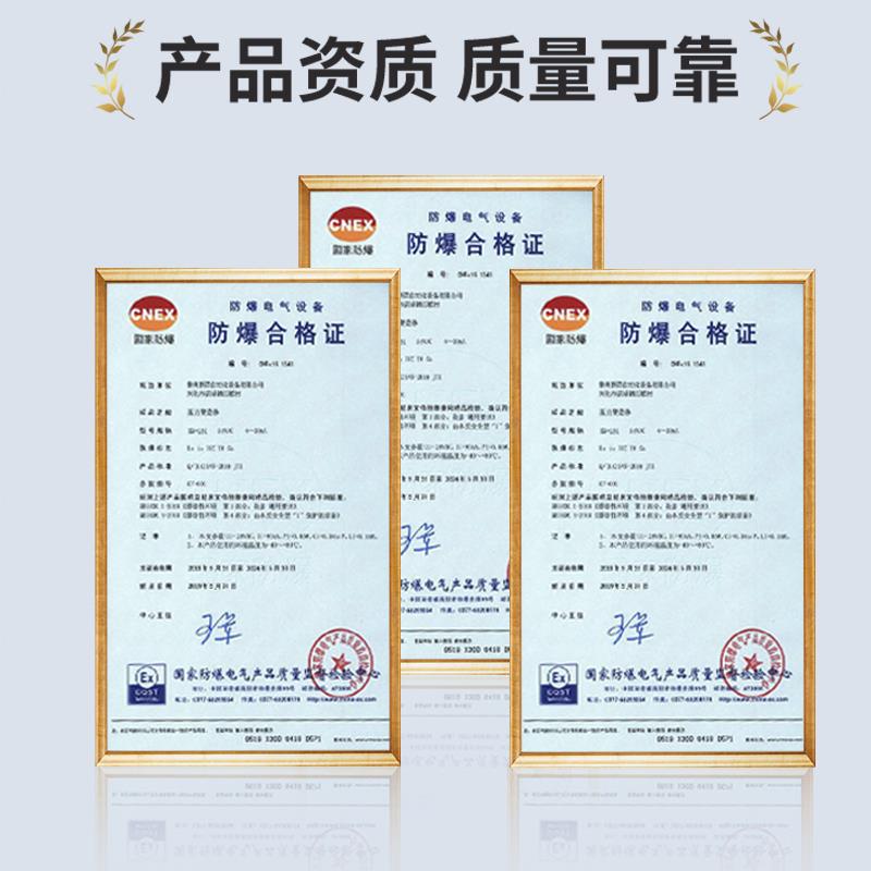 插入式液位变送器2088防爆耐高温不锈钢直杆式液位计传感器4-20mA