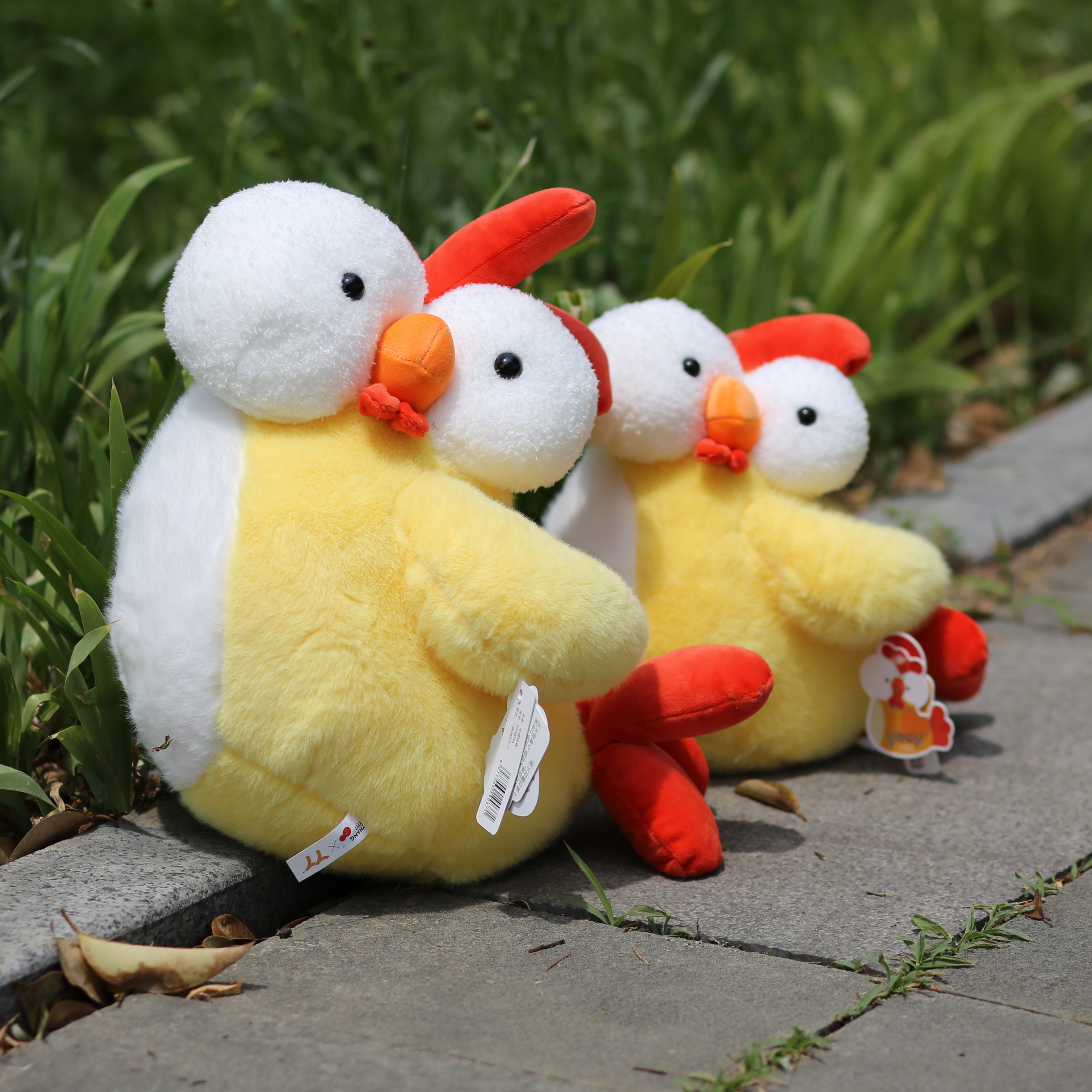 一杯鸡毛绒玩具仿真大公鸡玩偶