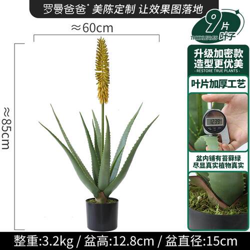 仿真绿植盆栽龙舌兰多肉植物造景客厅橱窗落地装饰景观
