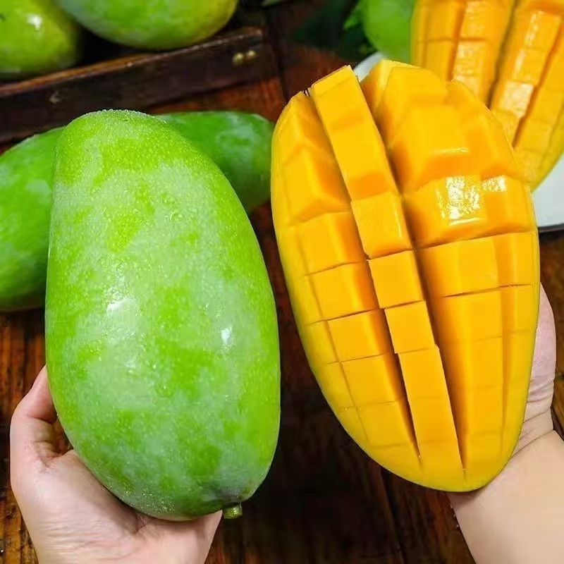 ڲ9 С100g ڴâˮâƤâ19.9Ԫ