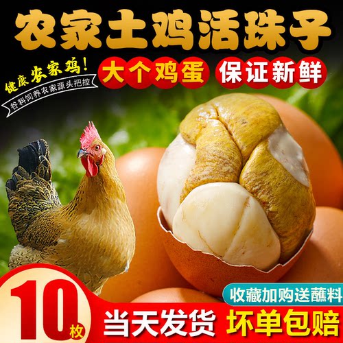 40枚五香活珠子新鲜13天即食
