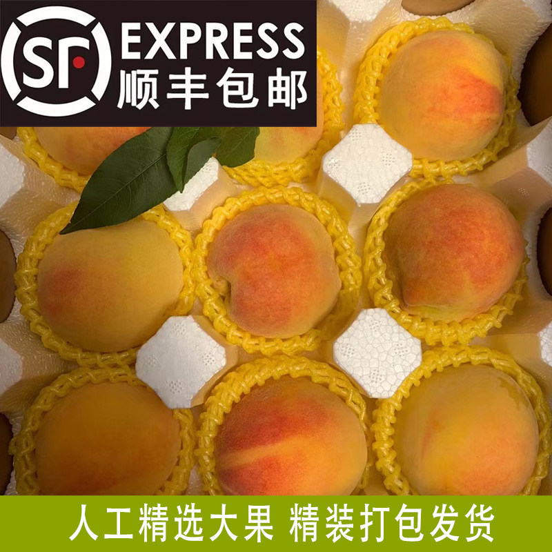湖南怀化麻阳高山锦绣黄桃5斤包邮新鲜水果蜜桃现摘超甜红心桃子