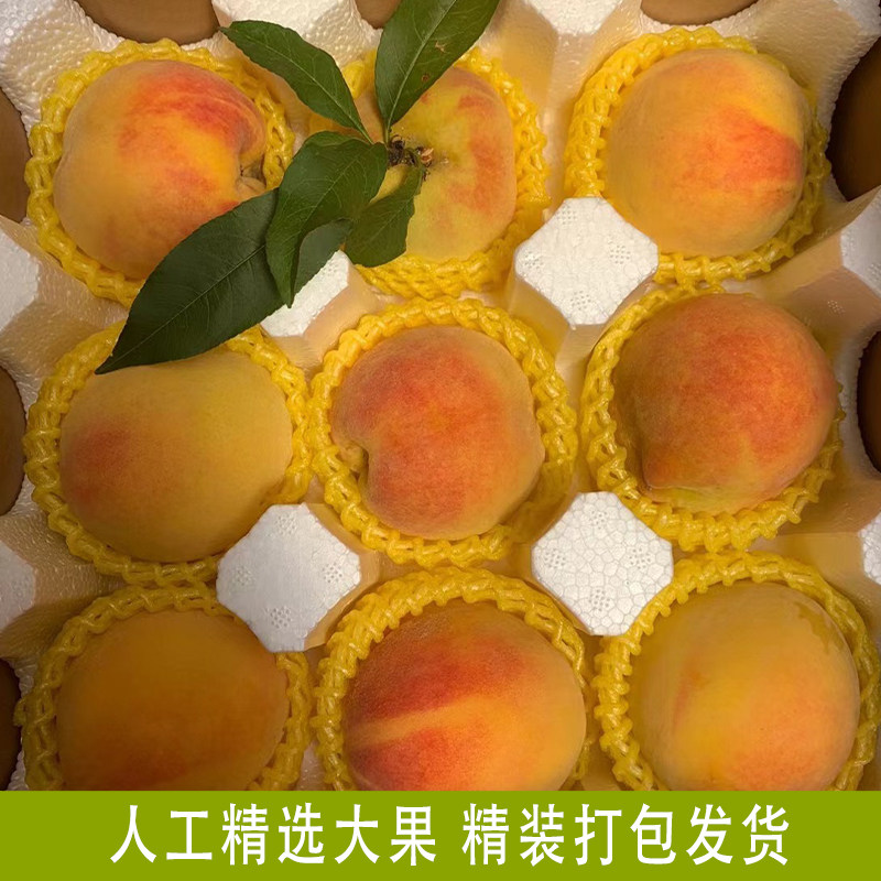 湖南怀化麻阳高山锦绣黄桃5斤包邮新鲜水果蜜桃现摘超甜红心桃子