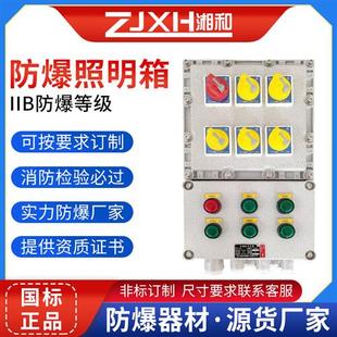 防爆配电箱接线仪表控制检修箱动力照明开关箱监控启动插座电源箱