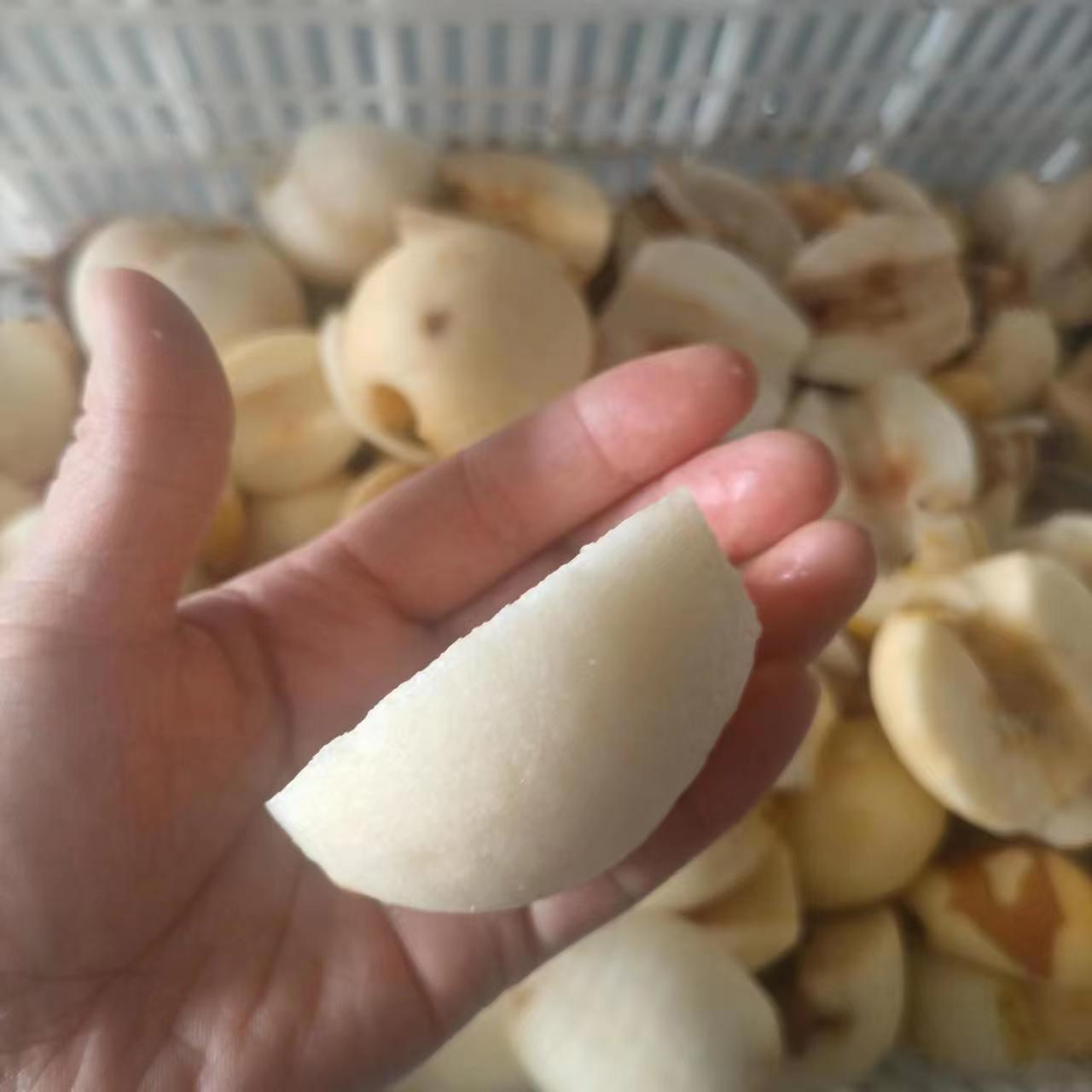 工位苹果四削机不锈机身PHN果肉与皮皮核自动分离水果削皮设备钢