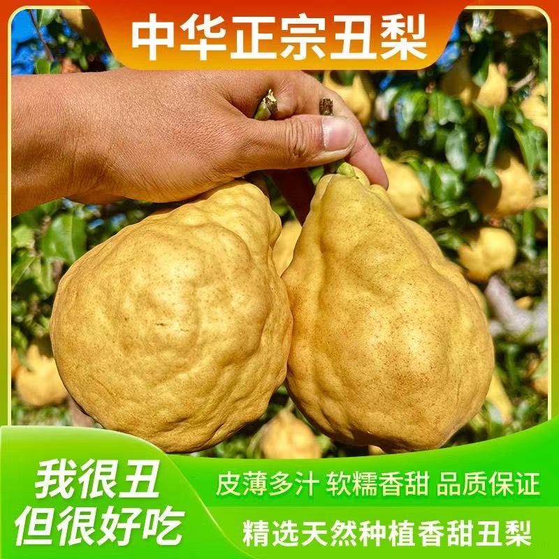 中华丑梨软糯香甜孕妇水果大果