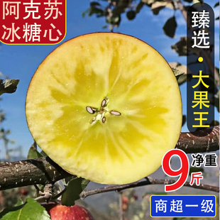 丑苹果9 包邮 新鲜水果整箱 新疆阿克苏冰糖心苹果红富士苹果5斤当季