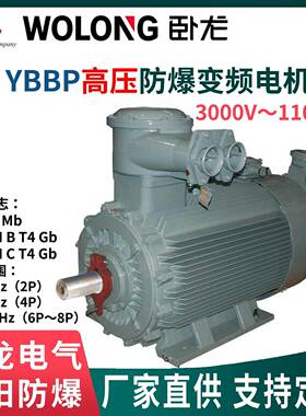 卧龙南阳防爆高压变频电机YBBP6/10VIC416强迫冷却F/H级绝缘