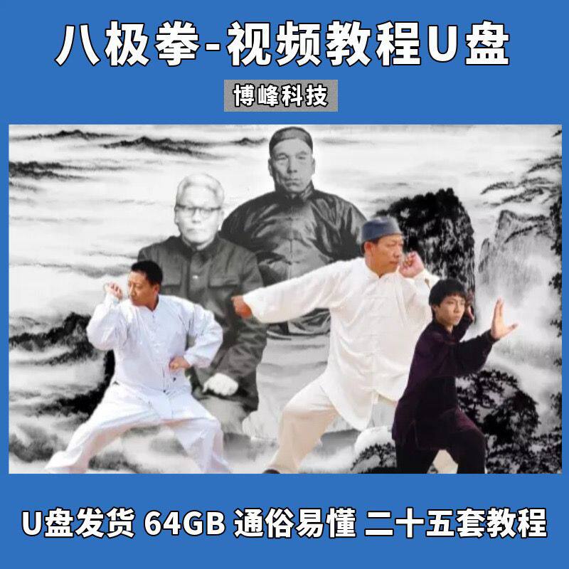 八极拳U盘64G教程视频武学全刻录盘个性化服务