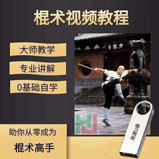短棍教学棍术视频U盘教程少林棍双节棍短棍甩棍鞭杆疯魔棍长棍U盘