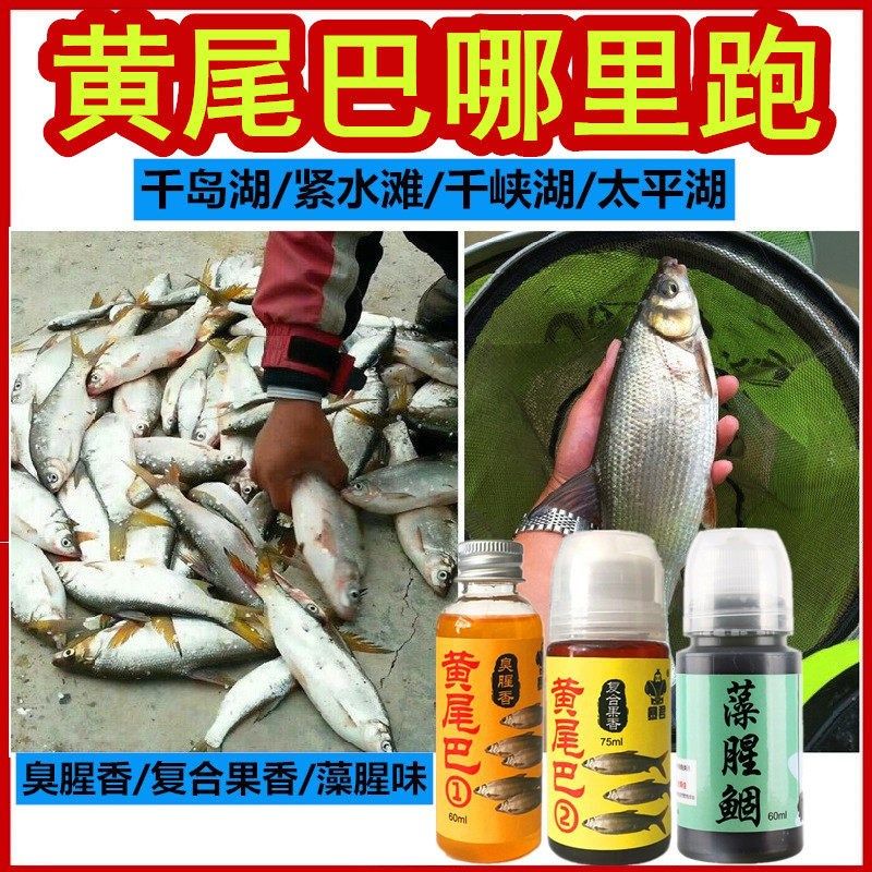 速发翘黄尾巴小药1号2号 红黄尾鲴青尾鲮鲴湖嘴巴结千岛 紧水