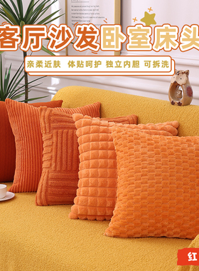 高级感轻奢橙色抱枕黄色沙发客厅橙色毛绒靠垫套靠枕抱枕套不含芯
