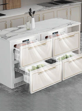 尊贵全嵌入式冰箱冷冻抽屉卧式柜式家用矮小冰柜内嵌隐藏一级能效