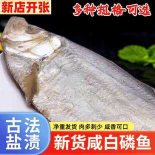 ly新货白鳞鱼 不是霉香白鳞鱼咸鱼干货自晒清蒸鱼海鱼500g海鲜干