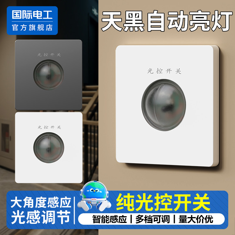 国际电工官方正品纯光控开关