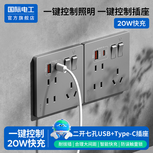 国际电工官方正品20W快充USB