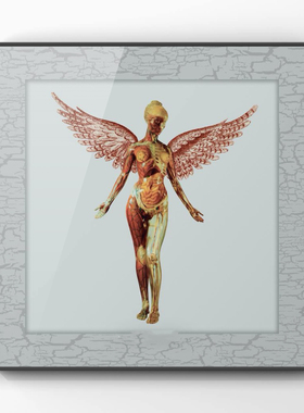 涅槃乐队Nirvana Nevermind原版专辑CD摇滚 音乐装饰画挂画高级感