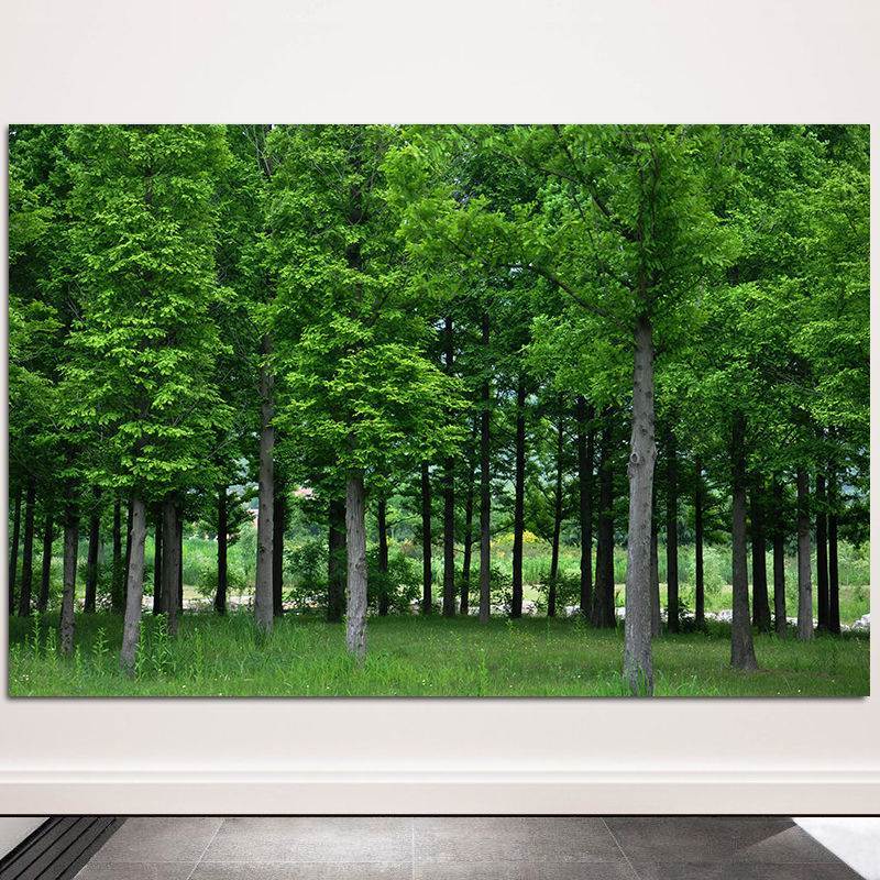 树木森林树林田园风景画玄关挂画儿童房间护眼图客厅装饰自黏贴画图片