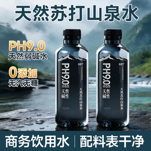 苏打水整箱24瓶五大连池天然苏打水弱碱水矿泉水饮用水高端商务