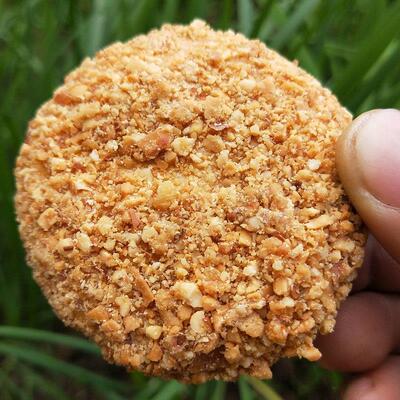 花生饼250克800克装童年零食麦芽糖花生饼香酥脆手工酥饼福建特产