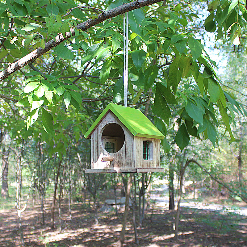 户外防雨鸟窝多色加厚实木鹦鹉繁殖箱孵化保暖挂树睡觉屋绿色校园,宠物/宠物食品及用品,鸟窝,淘宝优惠券,粉丝福利购,淘宝优惠卷