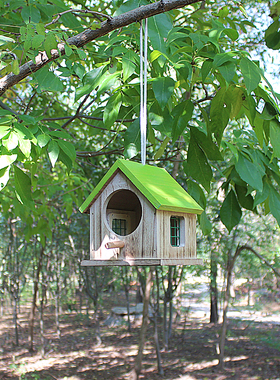 户外防雨鸟窝多色加厚实木鹦鹉繁殖箱孵化保暖挂树睡觉屋绿色校园