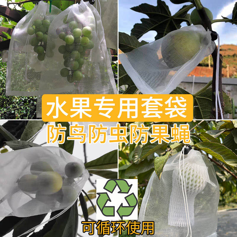 水果专用套袋枇杷葡萄袋火龙果无花果芭乐草莓防鸟防虫防果蝇网袋