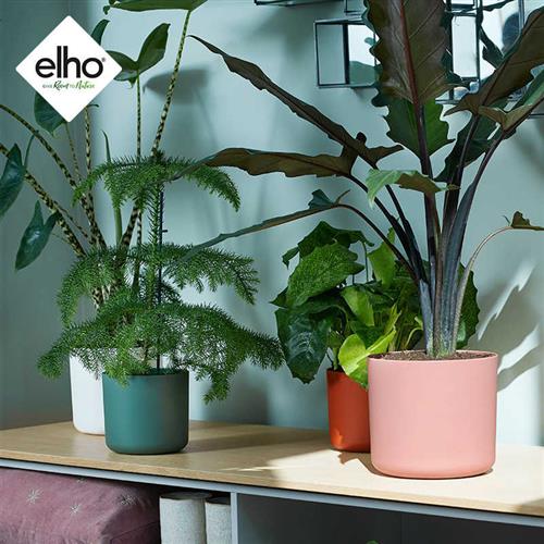 elho花盆北欧白色绿植现代塑料套盆自动自吸水盆景盆塑料盆大