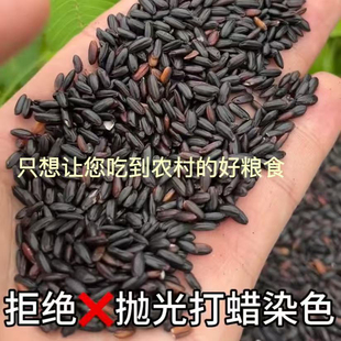 好糧食 農家自種黑米不染色新米五谷雜糧米 只想讓您吃到農村