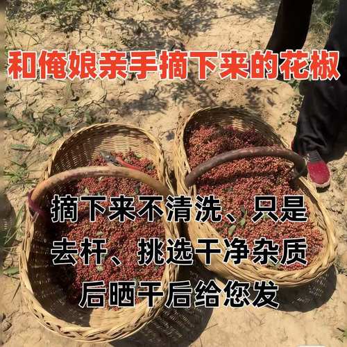 爷爷奶奶自己种的老树花椒很香麻