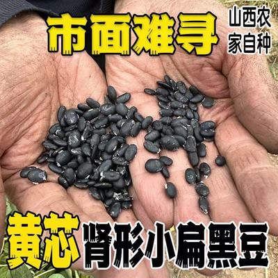 （山西老山区直发）农家自种黄心黑豆老品种小颗粒扁体老式小黑豆