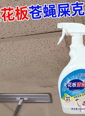 去苍蝇屎清洁剂除蚊虫屎天花板粪便清洗去污房顶扣板厨房除蟑螂屎