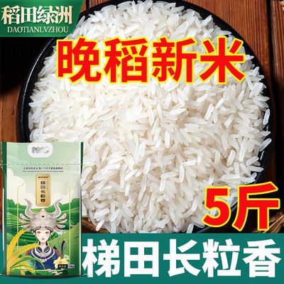 稻田绿洲丝苗米5斤10斤长粒香新米象牙米茉莉香米大米猫牙油粘米