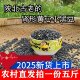 肾形黑豆 陕北农家自种老品种黄芯黑小豆打豆浆发豆芽杂粮新货5斤