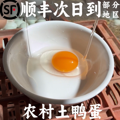 兵哥精品土鸭蛋农家散养新鲜麻鸭蛋非海鸭蛋新鲜广西鸭蛋顺丰快递