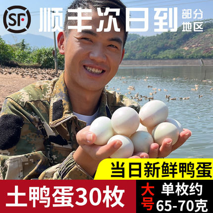 农家土鸭蛋正宗麻鸭蛋新鲜生鸭蛋水库放养鸭子蛋兵哥鸭蛋大号广西