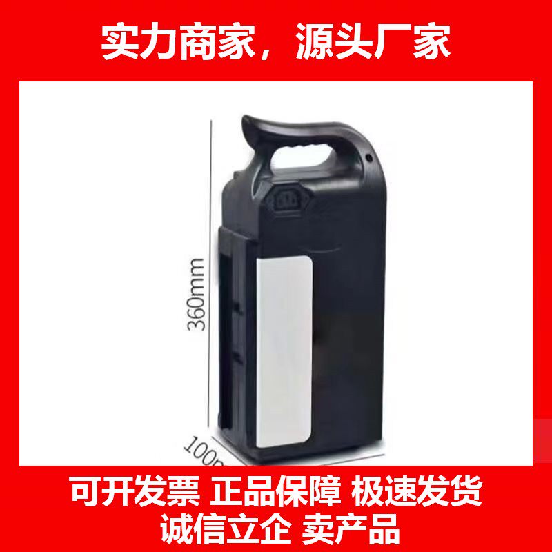 德国十大品牌锂电池48V12AH新日台铃绿源松吉春生轻鸿电瓶