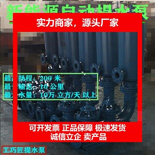 德国十大品牌升级水锤泵不用油不用电抽水设备免燃料提水设备