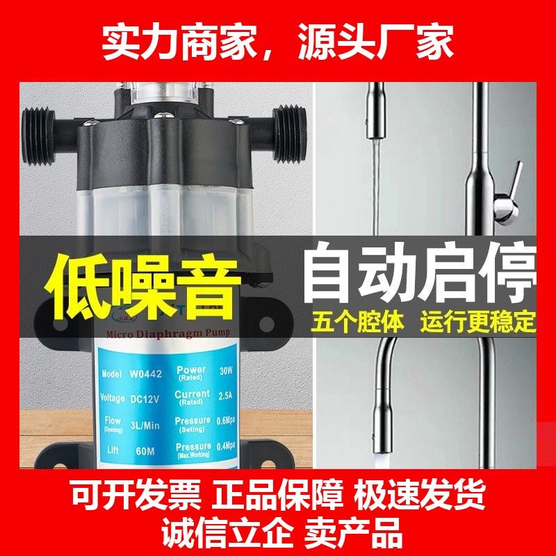 德国十大品牌铣铁龙净水器自吸泵 家用增压泵XTL壁挂炉补水小型水