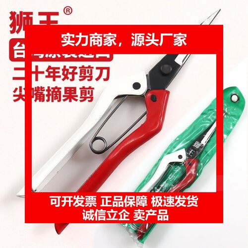 狮王尖嘴剪修枝剪花剪刀摘果剪稀果园林工具芽家用果枝剪十大品牌