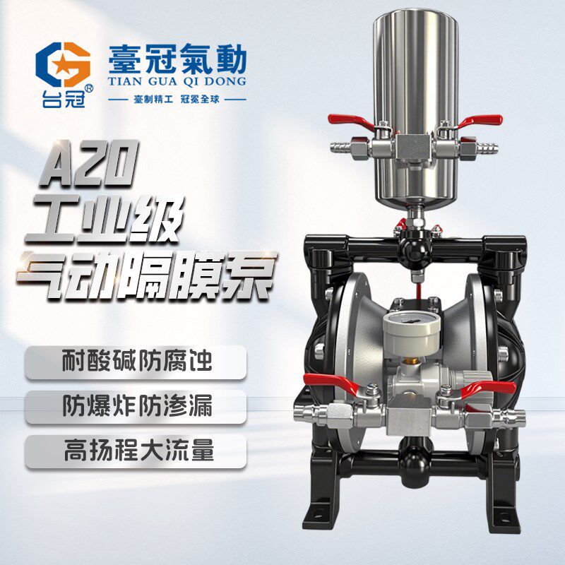 十大品牌b隔膜泵油泵A20油漆泵喷漆泵油墨专用抽料乳胶漆胶水摸模